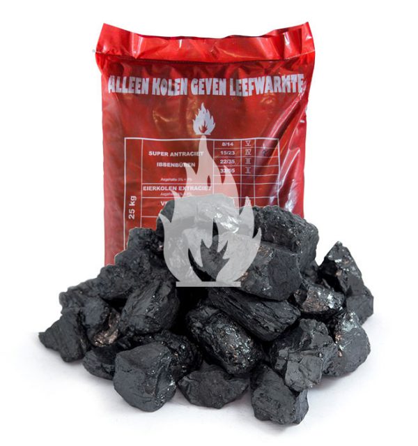 Houtskool briketten 10 kg - Golden Flame